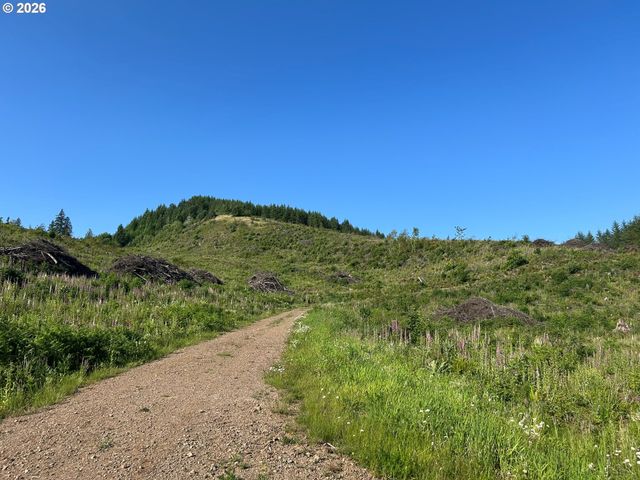 0 Ne 206th Ave, Amboy, WA 98601