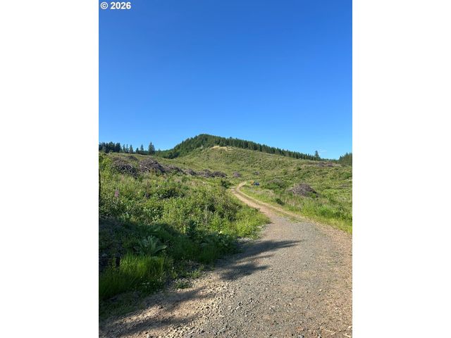 0 Ne 206th Ave, Amboy, WA 98601