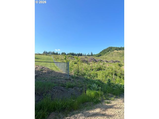 0 Ne 206th Ave, Amboy, WA 98601