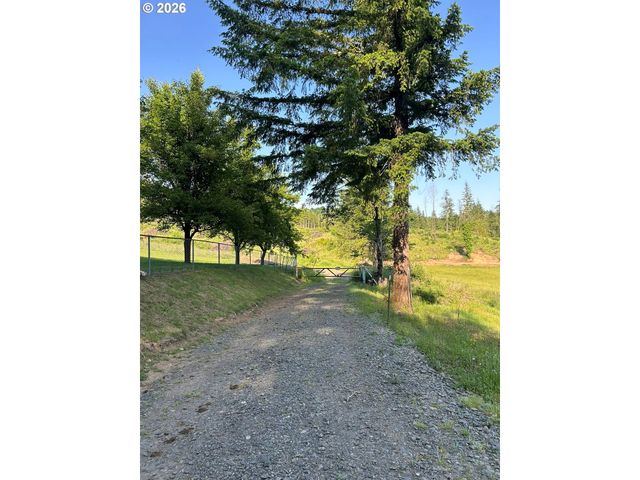 0 Ne 206th Ave, Amboy, WA 98601