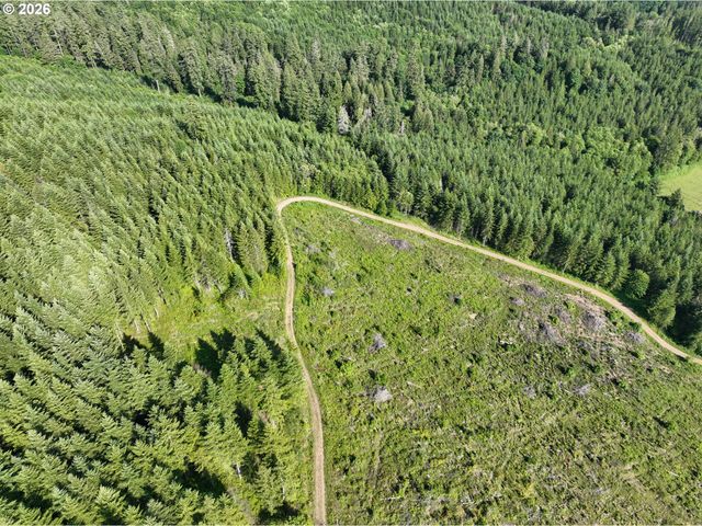 0 Ne 206th Ave, Amboy, WA 98601