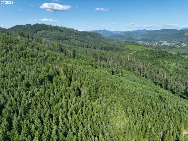 0 Ne 206th Ave, Amboy, WA 98601