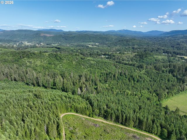 0 Ne 206th Ave, Amboy, WA 98601