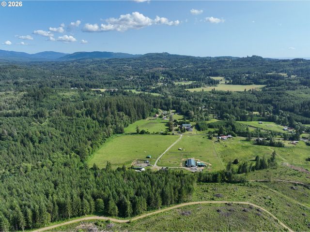 0 Ne 206th Ave, Amboy, WA 98601