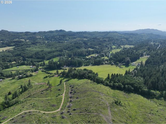 0 Ne 206th Ave, Amboy, WA 98601