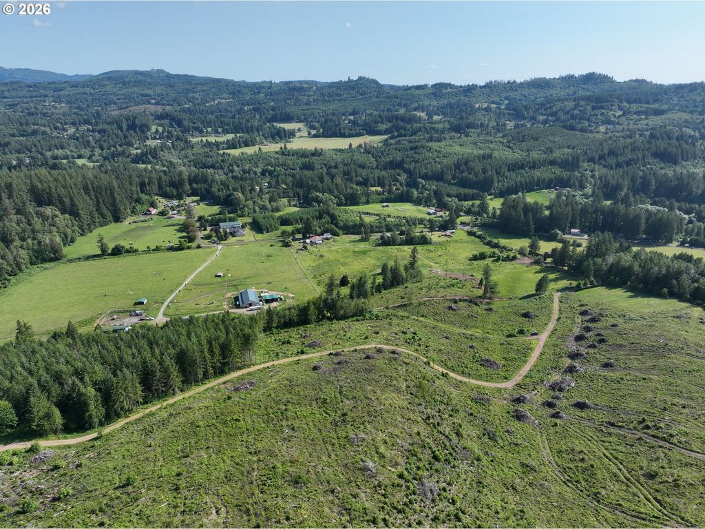 0 Ne 206th Ave, Amboy, WA 98601