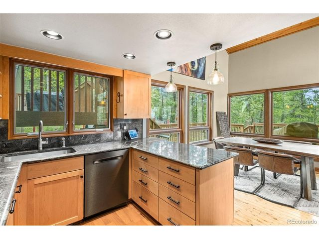 9471 S Warhawk Rd, Conifer, CO 80433