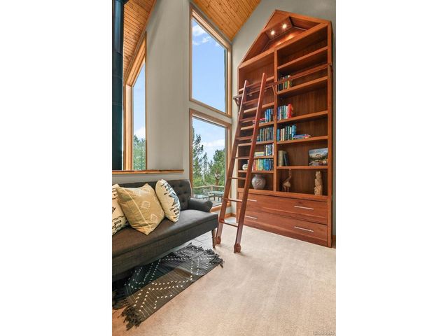 9471 S Warhawk Rd, Conifer, CO 80433