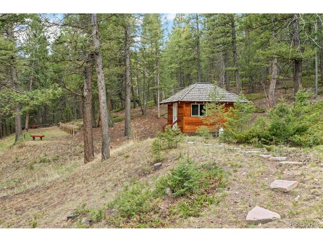 9471 S Warhawk Rd, Conifer, CO 80433