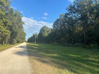 Tract 45, 46 Tx-61 Pr 117, Devers, TX 77538