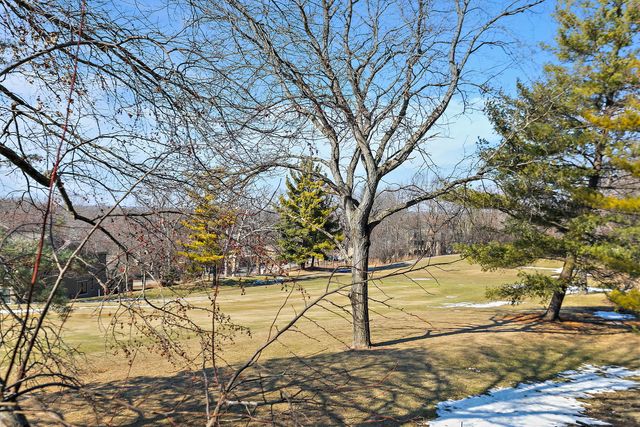 260 Timber Ridge Lane A, Lake Barrington, IL 60010