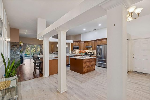 10022 OXFORD CHAPEL DRIVE, Tampa, FL 33647