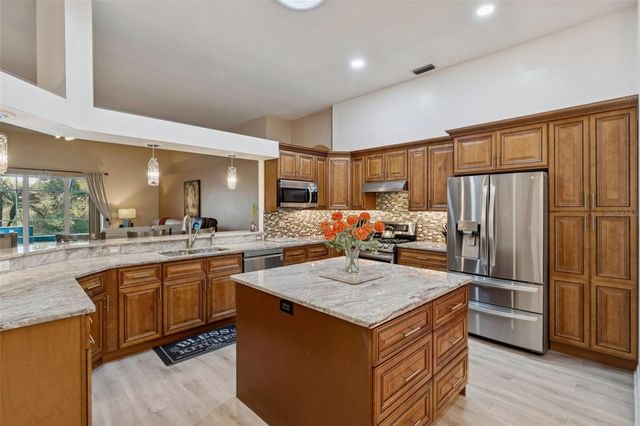 10022 OXFORD CHAPEL DRIVE, Tampa, FL 33647