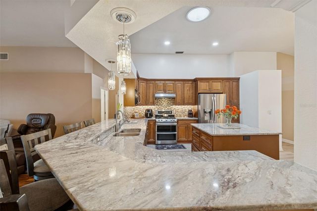 10022 OXFORD CHAPEL DRIVE, Tampa, FL 33647