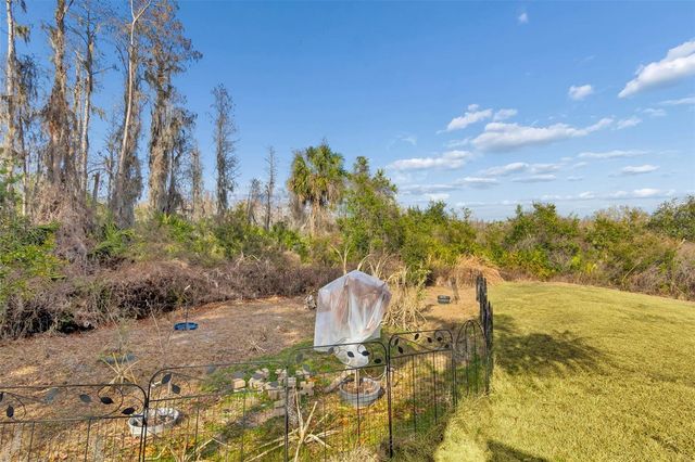 10022 OXFORD CHAPEL DRIVE, Tampa, FL 33647