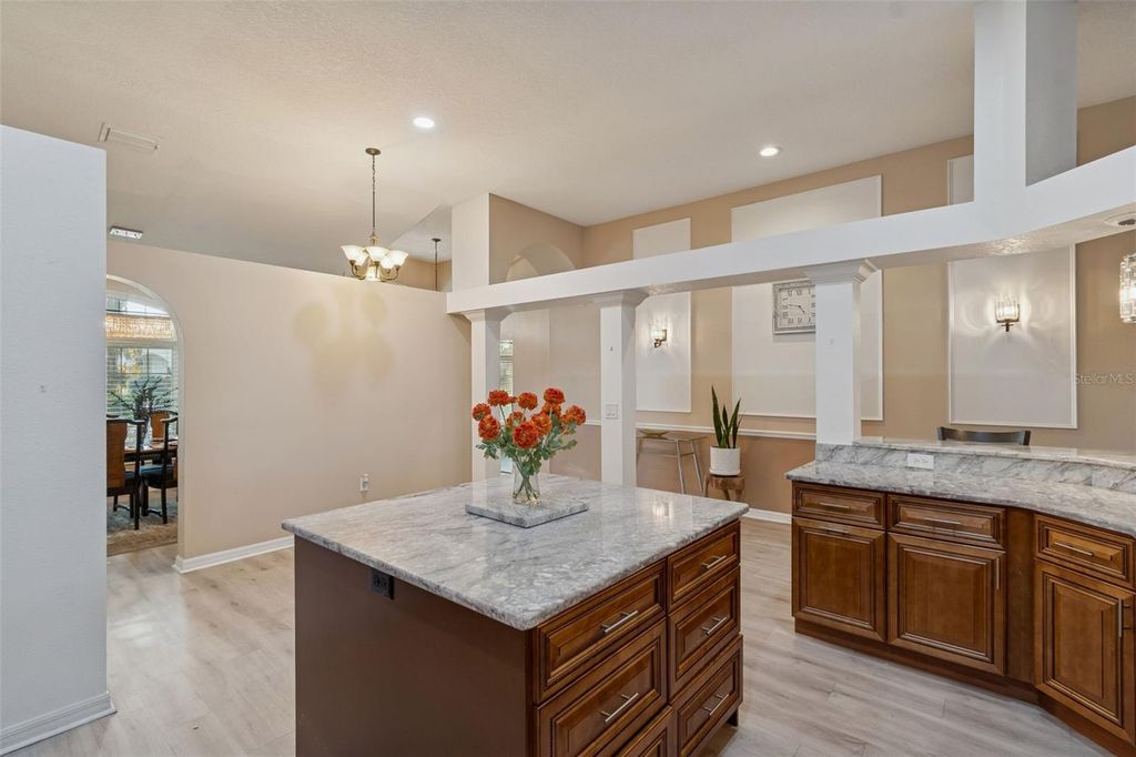 Image 20 of property listing at 10022 OXFORD CHAPEL DRIVE, Tampa, FL 33647