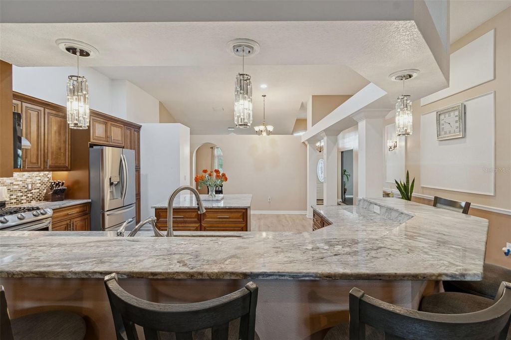 Image 27 of property listing at 10022 OXFORD CHAPEL DRIVE, Tampa, FL 33647