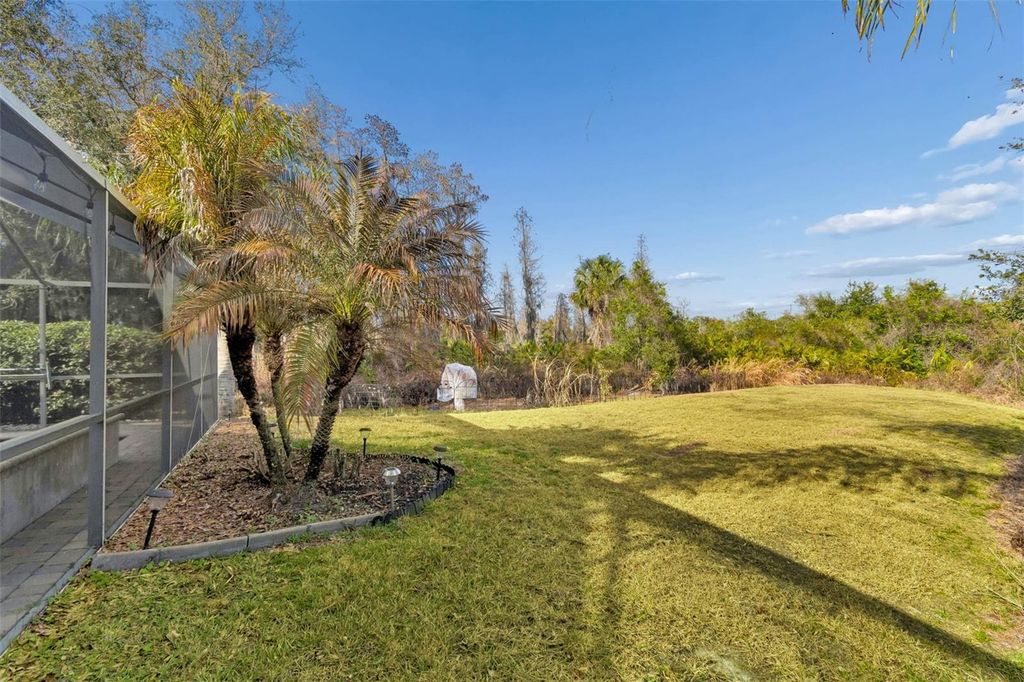 Image 76 of property listing at 10022 OXFORD CHAPEL DRIVE, Tampa, FL 33647