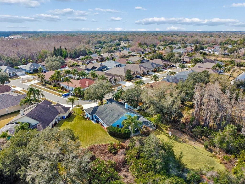 Image 85 of property listing at 10022 OXFORD CHAPEL DRIVE, Tampa, FL 33647