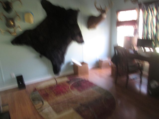 891 Old Statesville Rd, Watertown, TN 37184