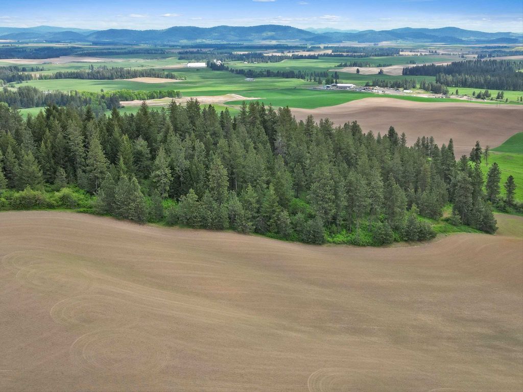 XXXXX S Starr Rd, Rockford, WA 99030 photo 11