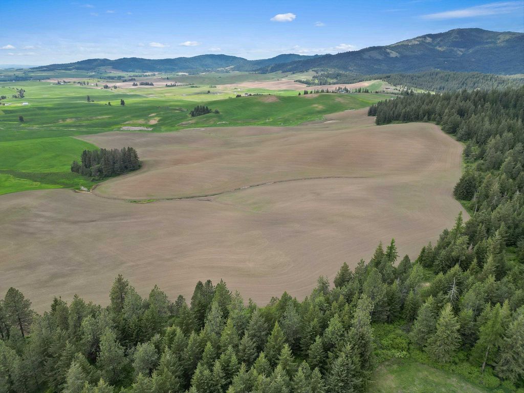 XXXXX S Starr Rd, Rockford, WA 99030 photo 13