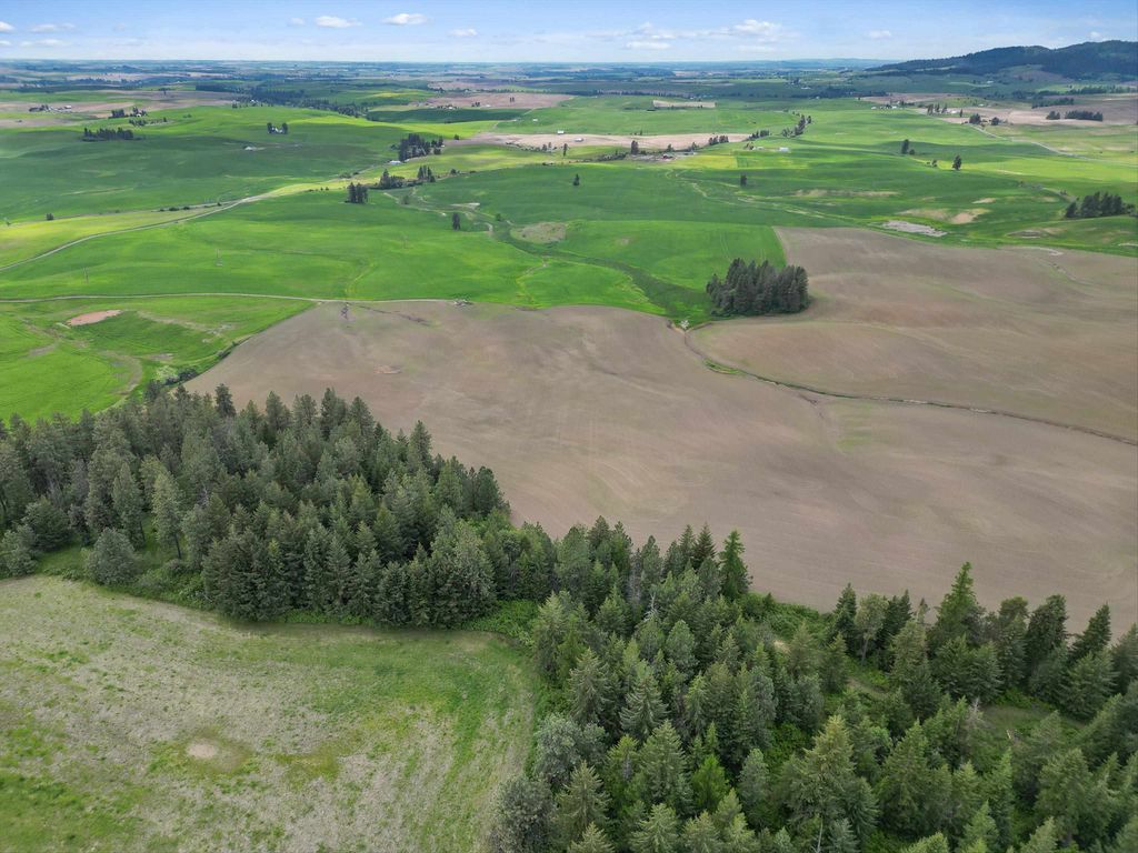 XXXXX S Starr Rd, Rockford, WA 99030 photo 14