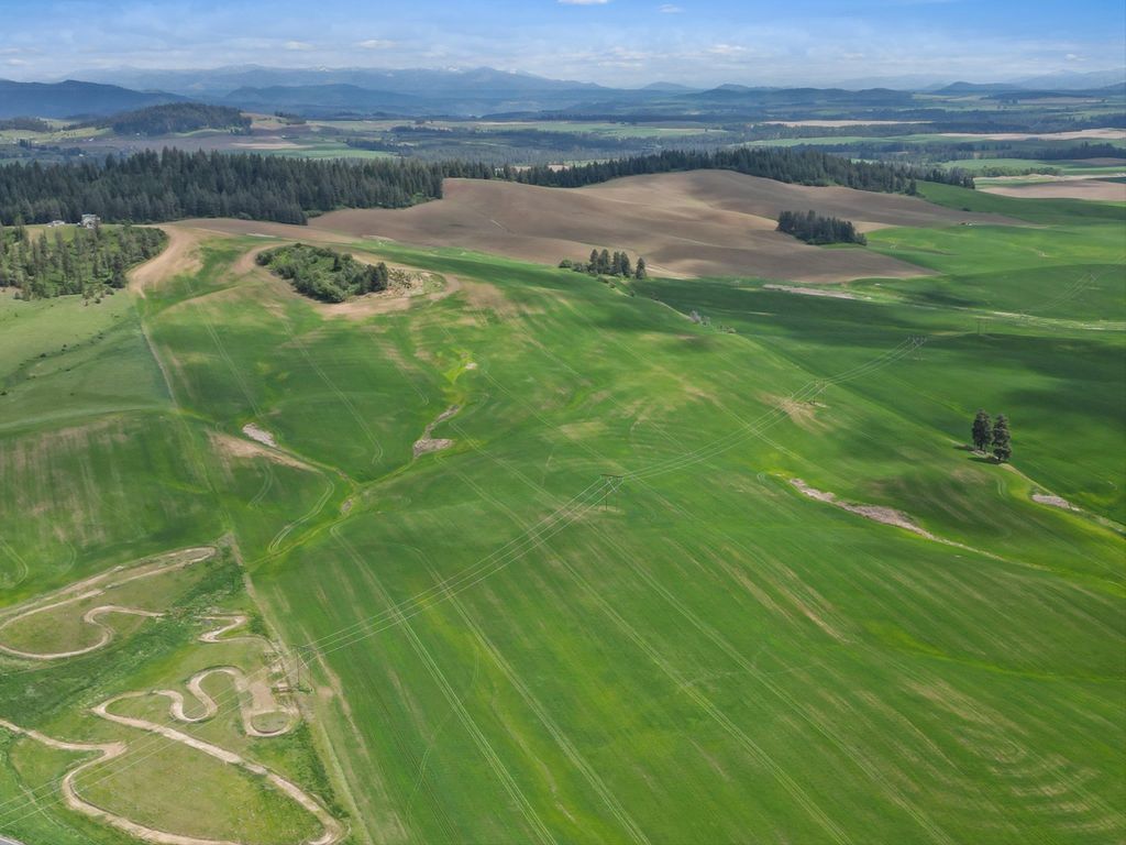 XXXXX S Starr Rd, Rockford, WA 99030 photo 4