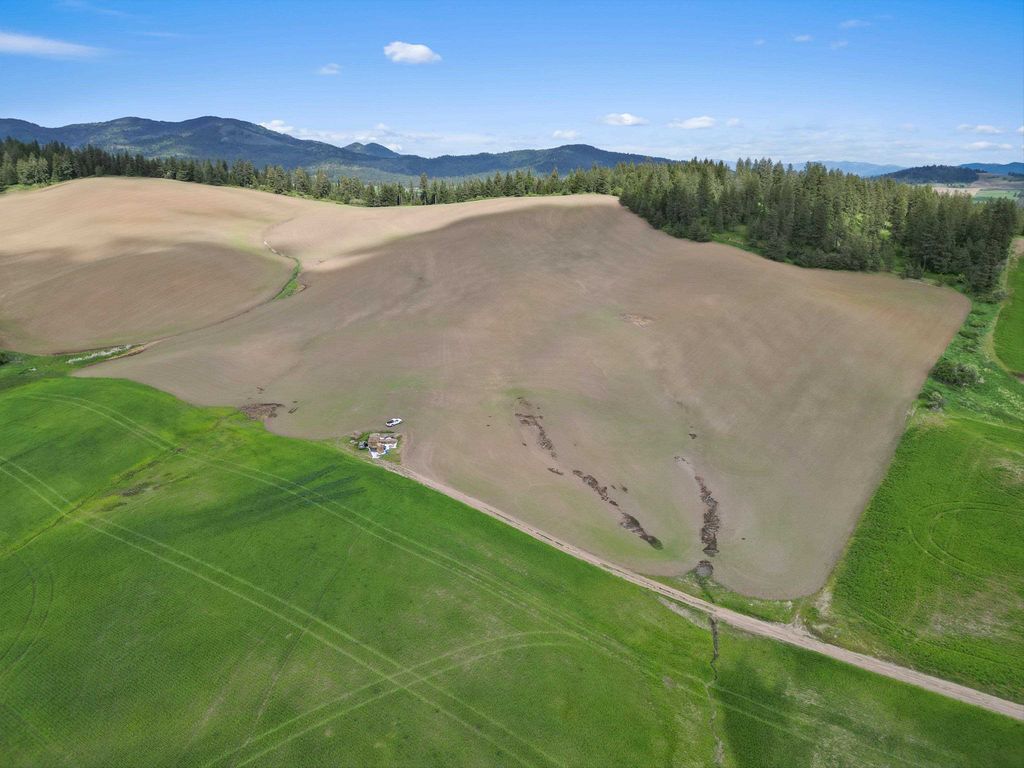 XXXXX S Starr Rd, Rockford, WA 99030 photo 5