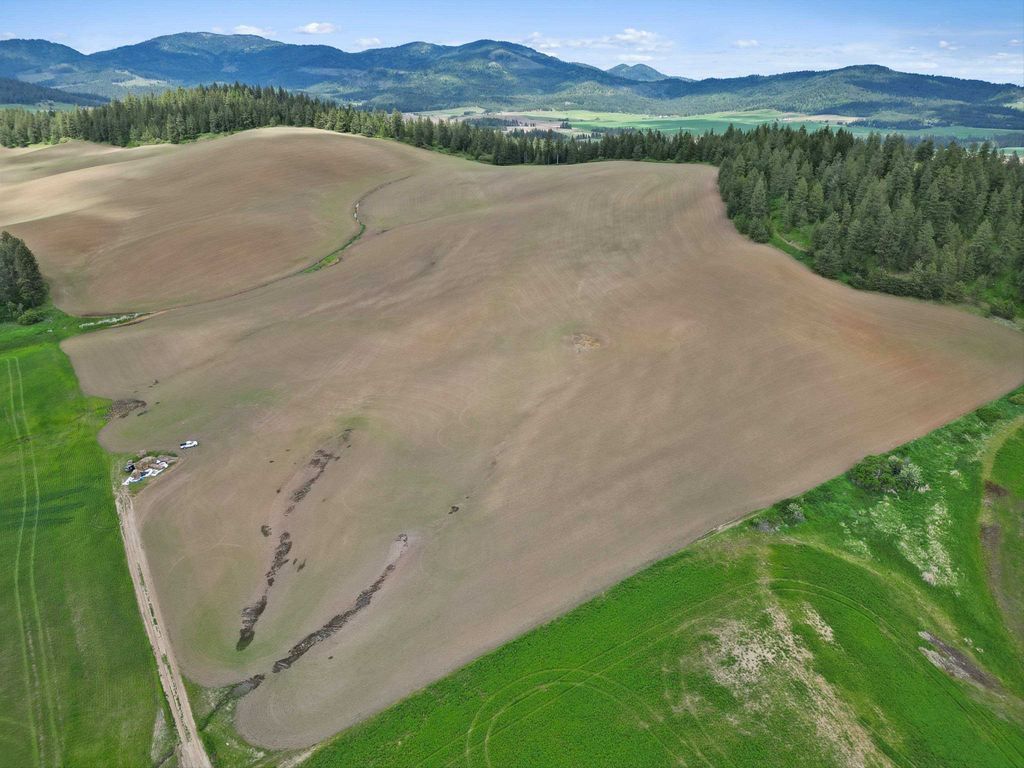 XXXXX S Starr Rd, Rockford, WA 99030 photo 6