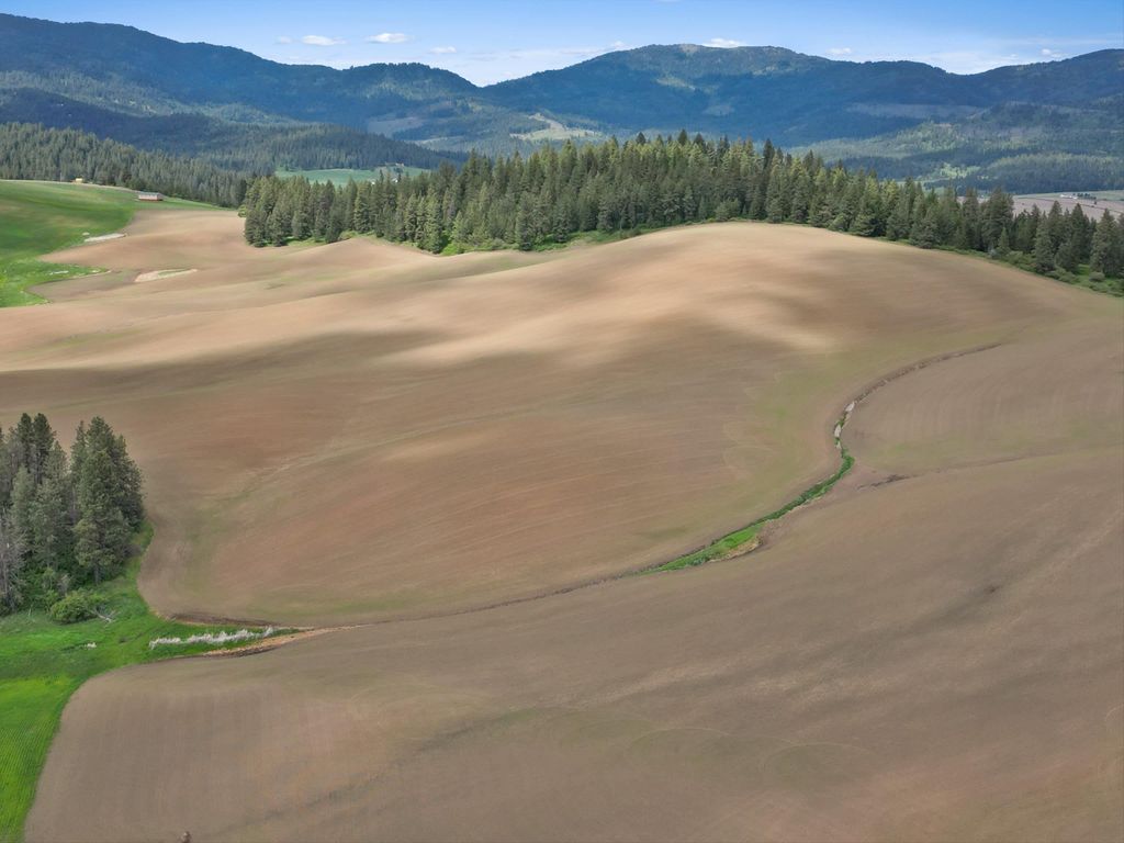 XXXXX S Starr Rd, Rockford, WA 99030 photo 8