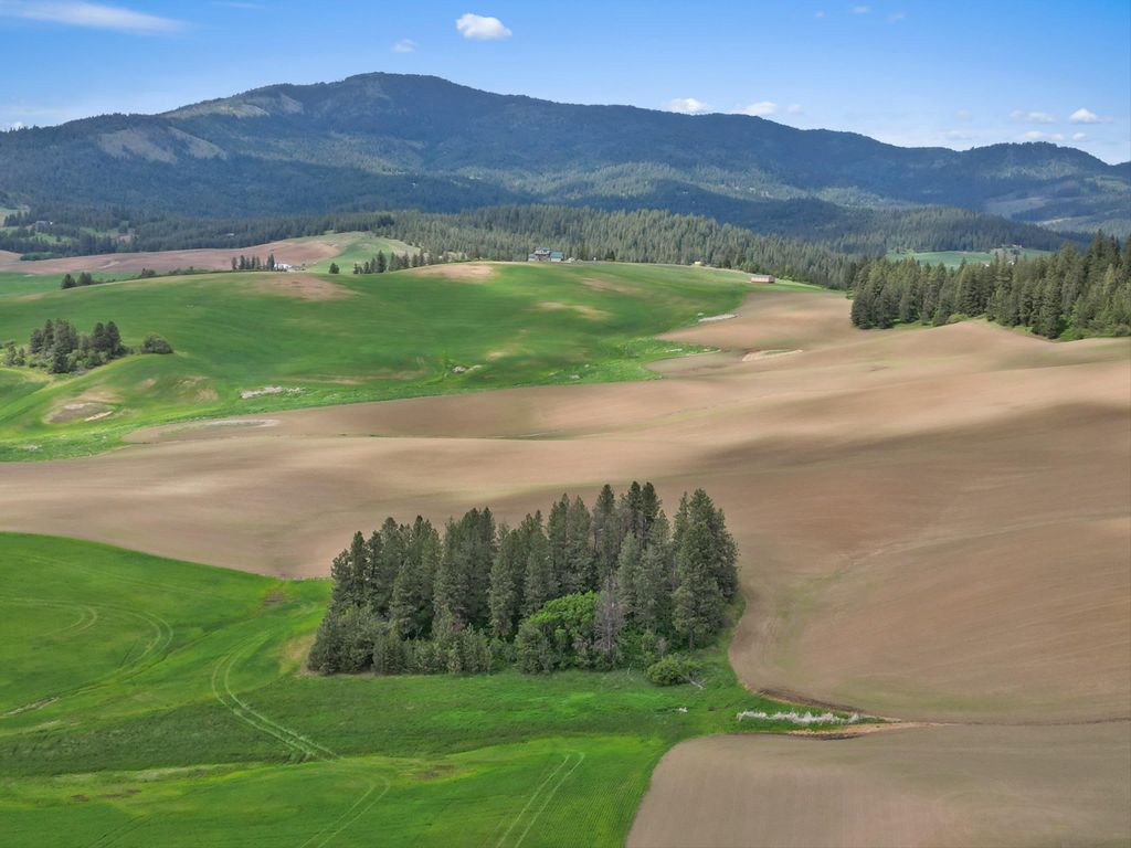 XXXXX S Starr Rd, Rockford, WA 99030 photo 9