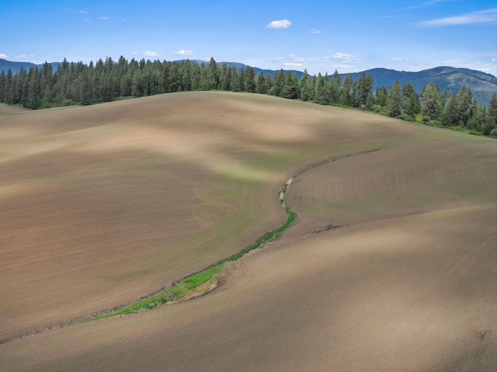 XXXXX S Starr Rd, Rockford, WA 99030 photo 10