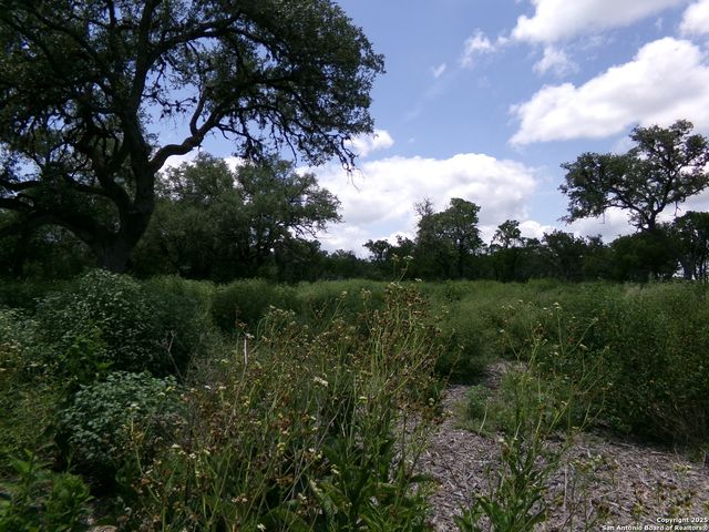 1881 Grand Oaks, Hondo, TX 78861