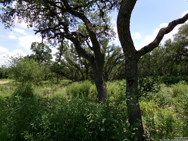1881 Grand Oaks, Hondo, TX 78861