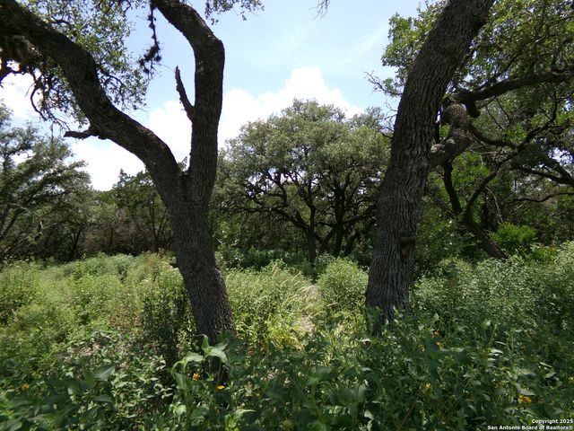 1881 Grand Oaks, Hondo, TX 78861