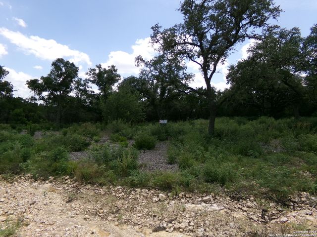 1881 Grand Oaks, Hondo, TX 78861