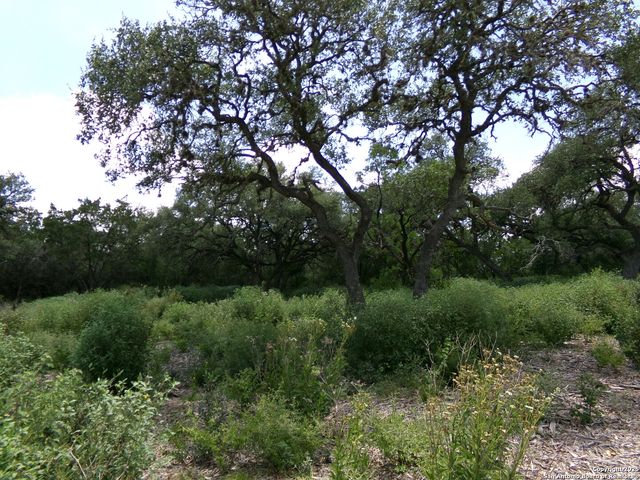 1881 Grand Oaks, Hondo, TX 78861