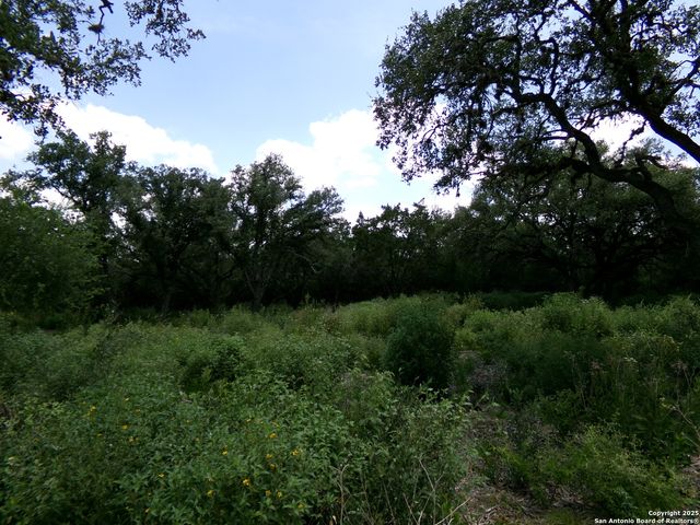 1881 Grand Oaks, Hondo, TX 78861