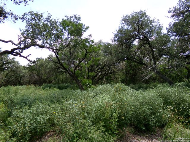 1881 Grand Oaks, Hondo, TX 78861