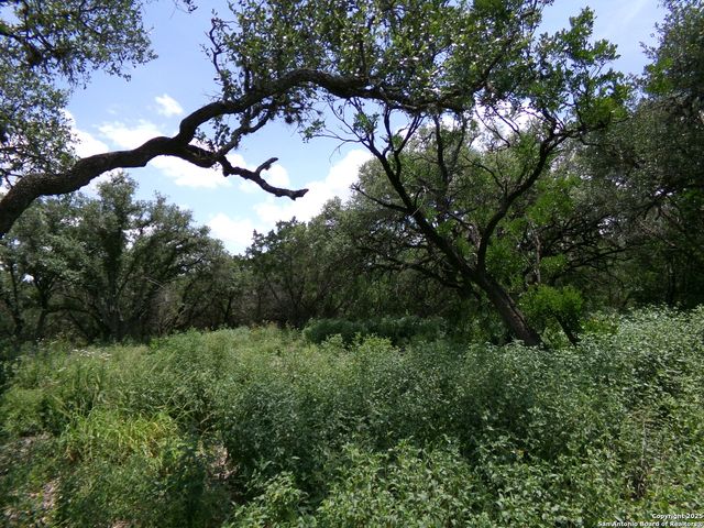 1881 Grand Oaks, Hondo, TX 78861