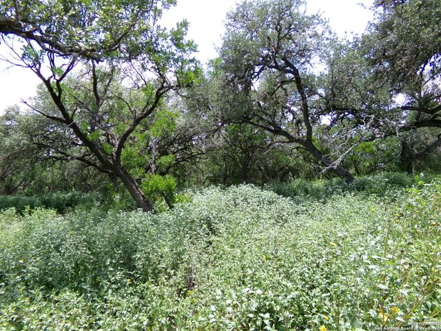 1881 Grand Oaks, Hondo, TX 78861