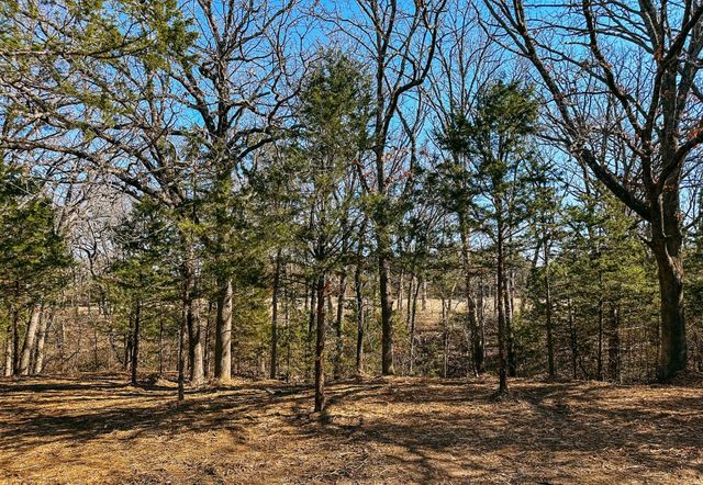 800 Burrows Chapel Road, Gordonville, TX 76245