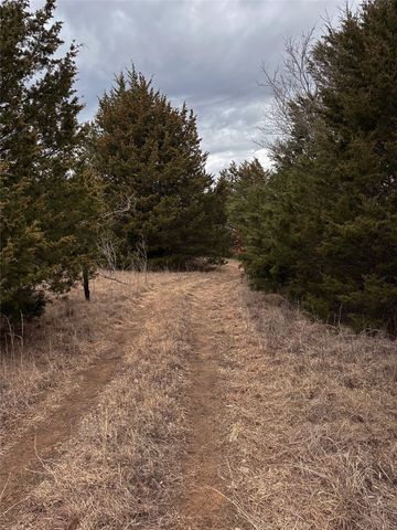 800 Burrows Chapel Road, Gordonville, TX 76245