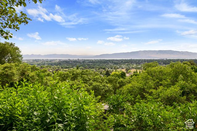 4601 N FOOTHILL DR, Provo, UT 84604