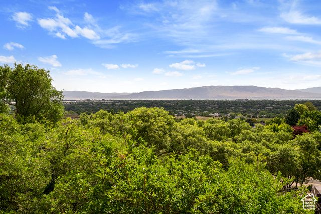 4601 N FOOTHILL DR, Provo, UT 84604