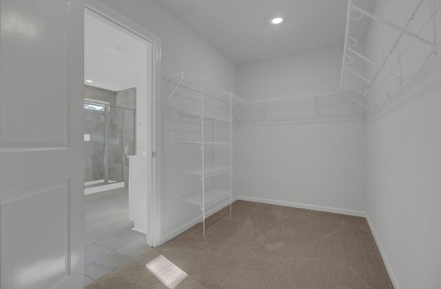 132 Sea Oats Street, Summerville, SC 29485