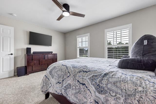 9 Cypress Place Court, Wildwood, MO 63040