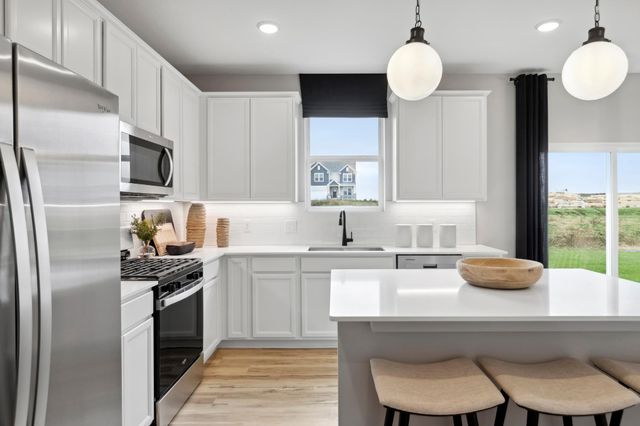 15016 Athenry Bay, Rosemount, MN 55068