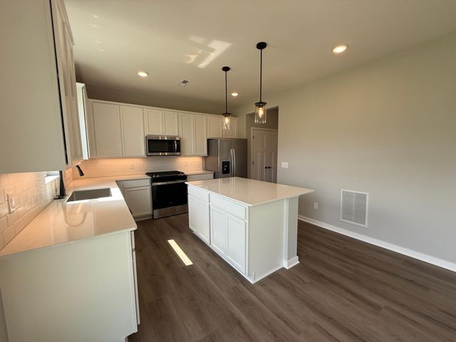15016 Athenry Bay, Rosemount, MN 55068